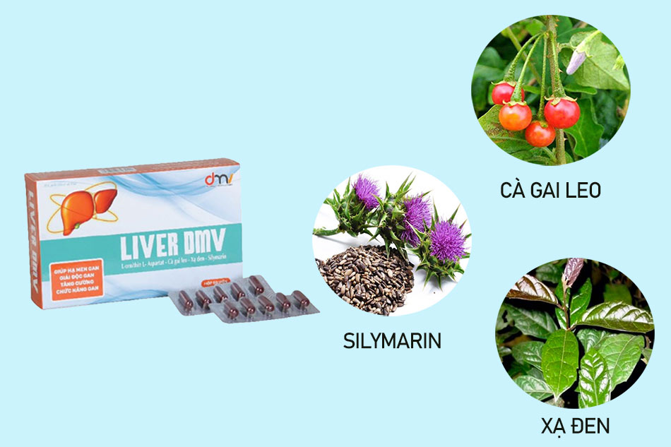 Thành phần chính của Bổ gan Liver DMV